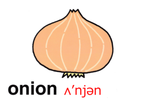 こども英語　onion