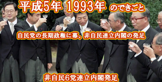 平成5年のできごと